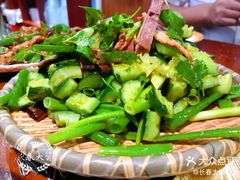 黄瓜牛肉-老长春饺子馆(保利·春天里店)
