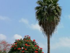 -三亚南山文化旅游区