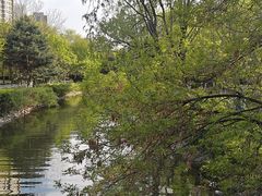 -长白岛森林公园