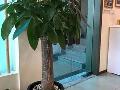 -小茶闲舍·观景商务茶馆(广州塔店)
