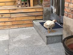 -69艺术餐厅(宋庄店)