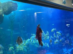-青岛海底世界-水族馆