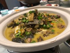 青椒烧甲鱼-野渡坡·极致湘菜·庭院餐厅(汉阳店)