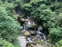 -龙窝子