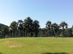 -河南省黄河迎宾馆