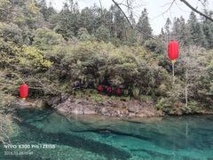 -石台牯牛降景区