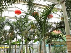 -南宫五洲植物乐园