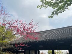 -杭州半山国家森林公园