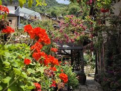 -新安江山水画廊风景区