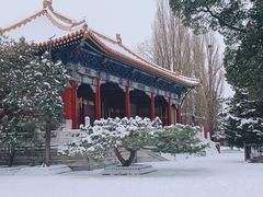 -小洋府铜锅涮肉(南锣鼓巷店)