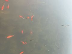 -大悲禅寺
