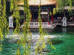 -趵突泉景区