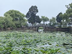 -无锡蠡湖国家湿地公园-蠡园
