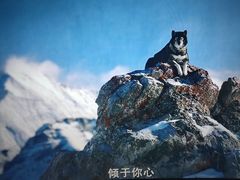 -中影星美大北门影城