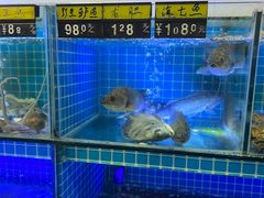 -江南村海鲜馆(洞头店)