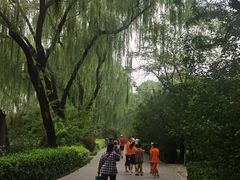 -悦动体能篮球羽毛球网球(三里河店)