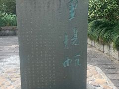 -桐君山春江扬帆码头