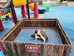 -上海崇明金茂凯悦酒店