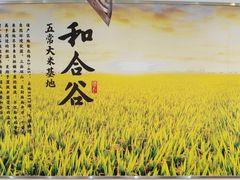 -和合谷(百荣店)