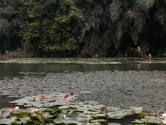 -艾溪湖湿地公园