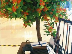 -新世界大丸百货