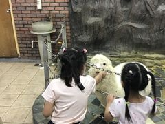 -上海大自然野生昆虫馆(东方明珠·爬宠昆虫探索中心)
