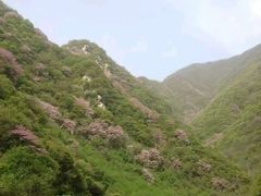 -终南山国家森林公园