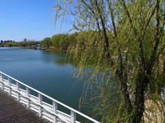 -大兴滨河森林公园