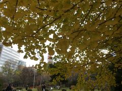 -北海道厅旧本厅舍(旧本庁舎)