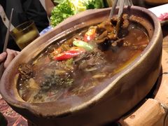 花椒肥肠鸡煲-十六蒲(桂林路店)