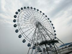 -秦皇岛乐岛海洋王国