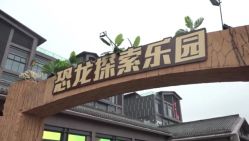 -恐龙探索乐园(磁器口店)