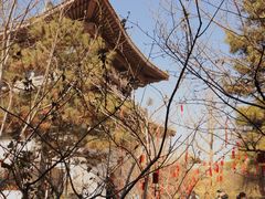 -隆福寺