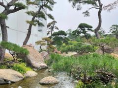 -罗红摄影艺术馆