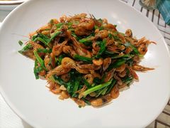 -古道村落(温汤店)