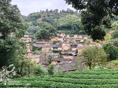 -杨家堂村