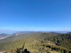 -武陵山森林公园