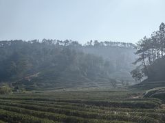 -玉女峰