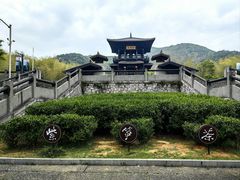 -大唐贡茶院