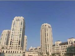 -万科翡翠滨江2期