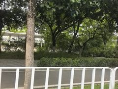 -东莞植物园