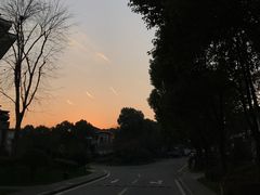 -上海东方佘山翰悦阁酒店·Vie全日制餐厅