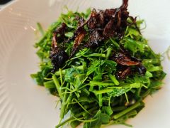 -醉东Oriental House(静安嘉里中心店)