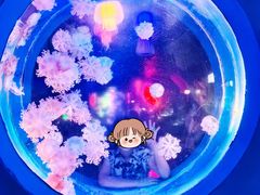 -太平洋海底世界