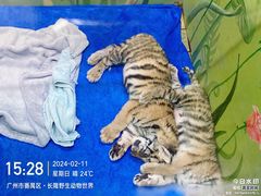 -广州长隆野生动物世界