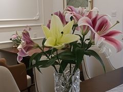 -燕庭·纯燕窝·甜品下午茶(南京西路店)