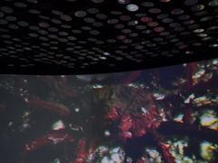 -同济大学四平路校区深海探索馆