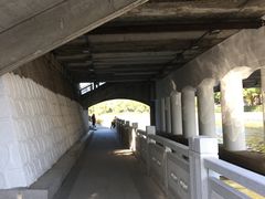 -嘉定紫藤园
