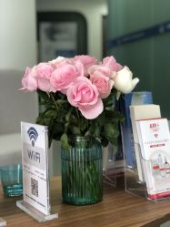 -联合丽格·张菡丽格医疗美容