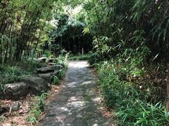 -上海植物园-4号门售票处